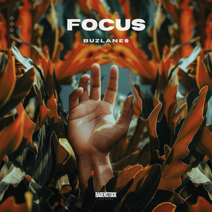 Focus