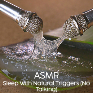 ASMR Dried Wheat Spikelets Sound