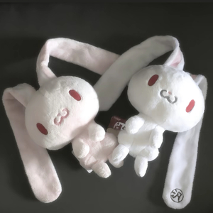 红昭愿