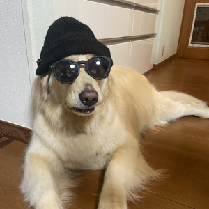 Pumped up (feat. DJ 口)