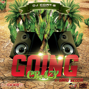 Going Crazy (Radio Edit) [feat. David Seccia]