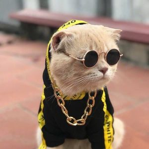 Free Beat 无始无终