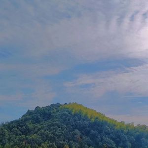 亚里士多德的风铃（沉浸版）