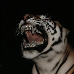 屋漏偏逢连夜雨