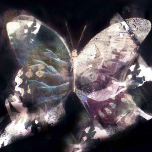 Sacred Play Secret Place Remixed by Negative Headphone