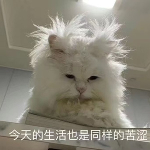 复相逢女版 试听