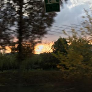 想见你（翻自 八三夭）