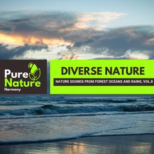 Calming Fire and Nature Sound