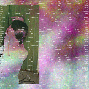 podré volver