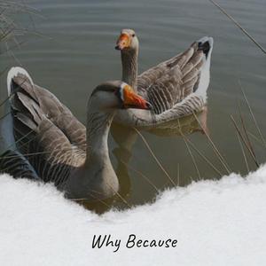 Hey, You Got Somethin'