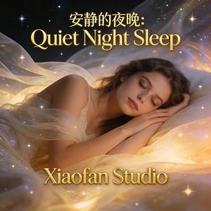 安静的夜晚：Quiet Night Sleep