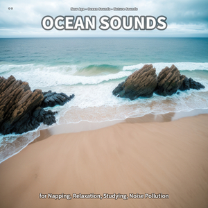 Ocean Sounds, Pt. 23