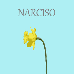 Narciso