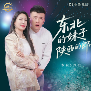东北的妹子陕西的郎(DJ小鱼儿版)