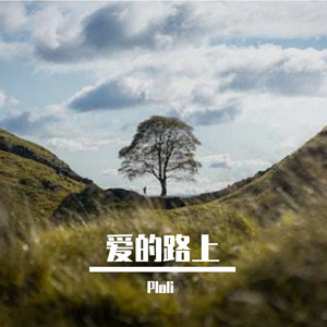 当我孤独的时候还可以抱着你