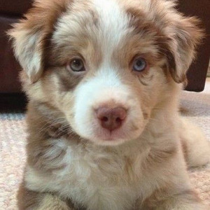 What Chu Want (sped up)