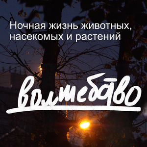 Возле одной из статуй будды