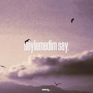 Söylemedim Say