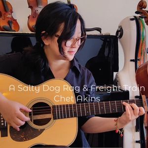 【美式指弹】A Salty Dog Rag and Freight Train