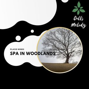 Breathe In Pacific Air