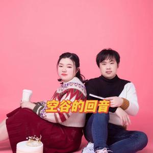 空谷的回音