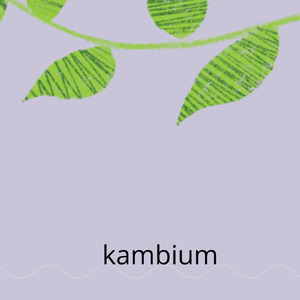 kambium (Remastered 2024)
