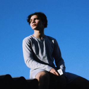 I Can't Help Falling for You