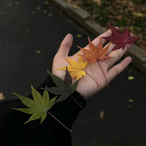 因为我遇到了你