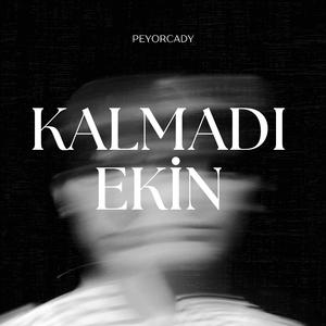 Kalmadı Ekin