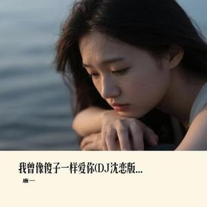 我曾像傻子一样爱你 (DJ沈恋版)