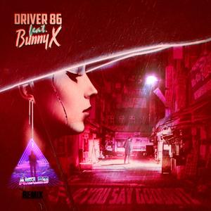 If You Say Goodbye (feat. Bunny X) (Aisle 9 Remix)