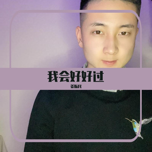 我会好好过