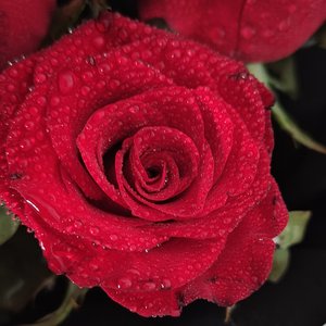 既非朋友也非恋人