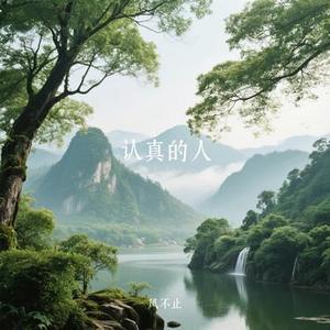 认真的人
