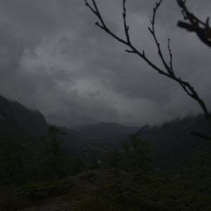Winter Storm