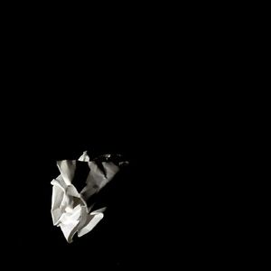 木魚石よ響け/回响吧木鱼石