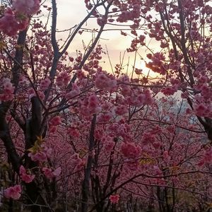 小情诗（Prod.Gr33nart Beats）