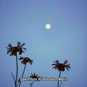 Zakhmon Ki Yaadon Mein