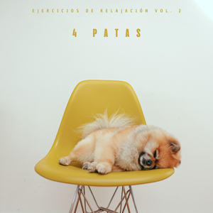 Música Para Perros Con Ansiedad