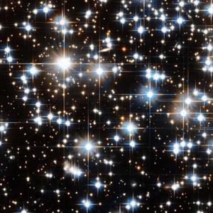 No Trust (feat. KidSubi)