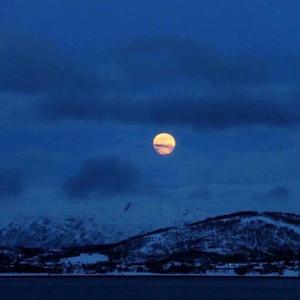 深夜杂谈