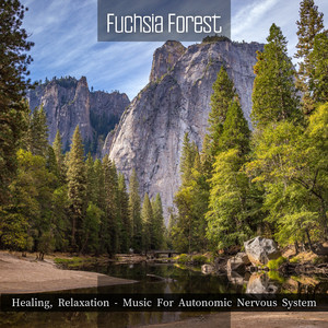 Fern Gully Meditation