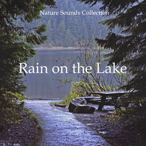 Nature Sounds Rain on the Lake, Pt. 39