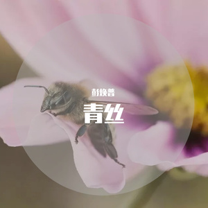 青丝