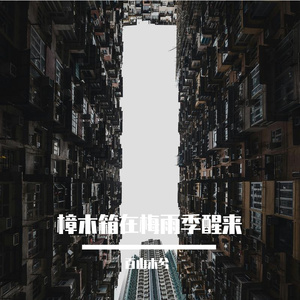 樟木箱在梅雨季醒来