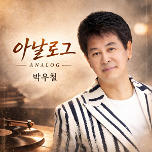 아날로그