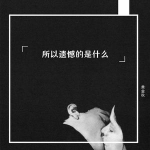 所以遗憾的是什么