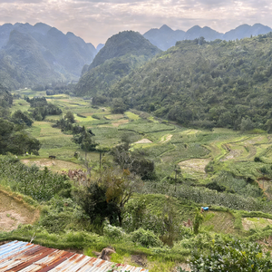 如果遗憾注定错过