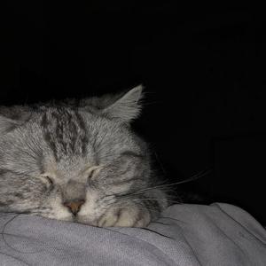 尹昔眠-落在生命里的光(Remix)