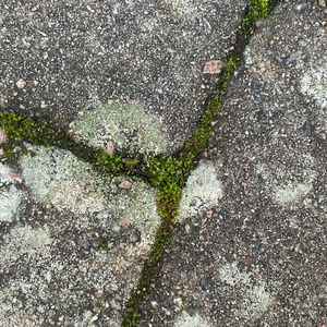 Yes (Instrumental Version)